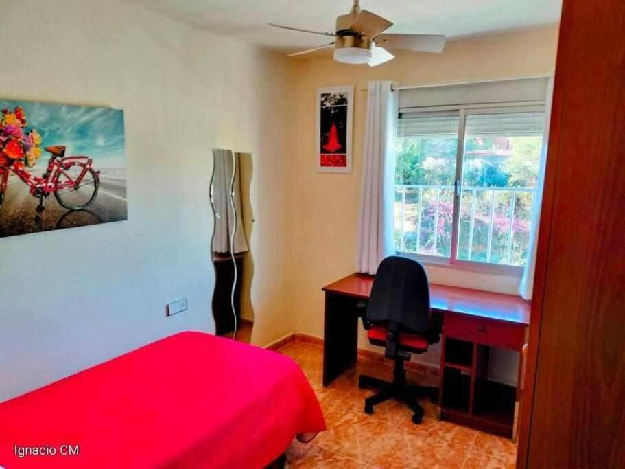 Apartamento En Pleno Centro De Málaga Dış mekan fotoğraf
